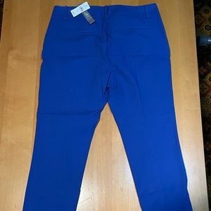 Loft royal blue capris nwt sz 10